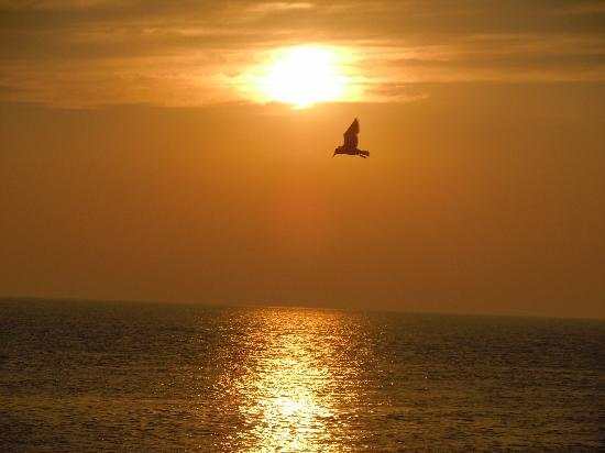 Henry Sawyer Inn Cape May Buitenkant foto
